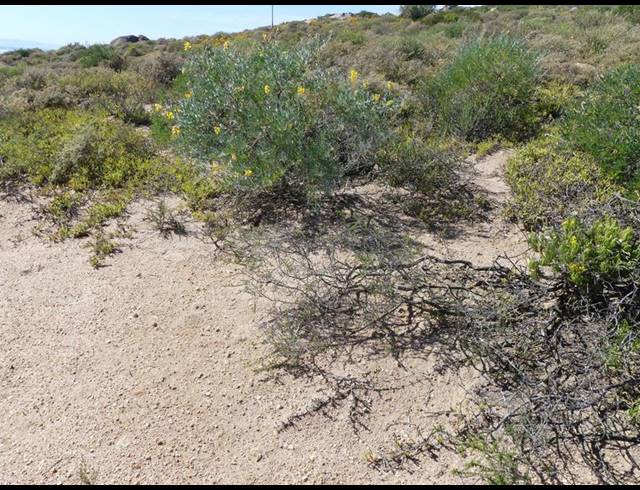 LAND FOR SALE IN ST HELENA VIEWS